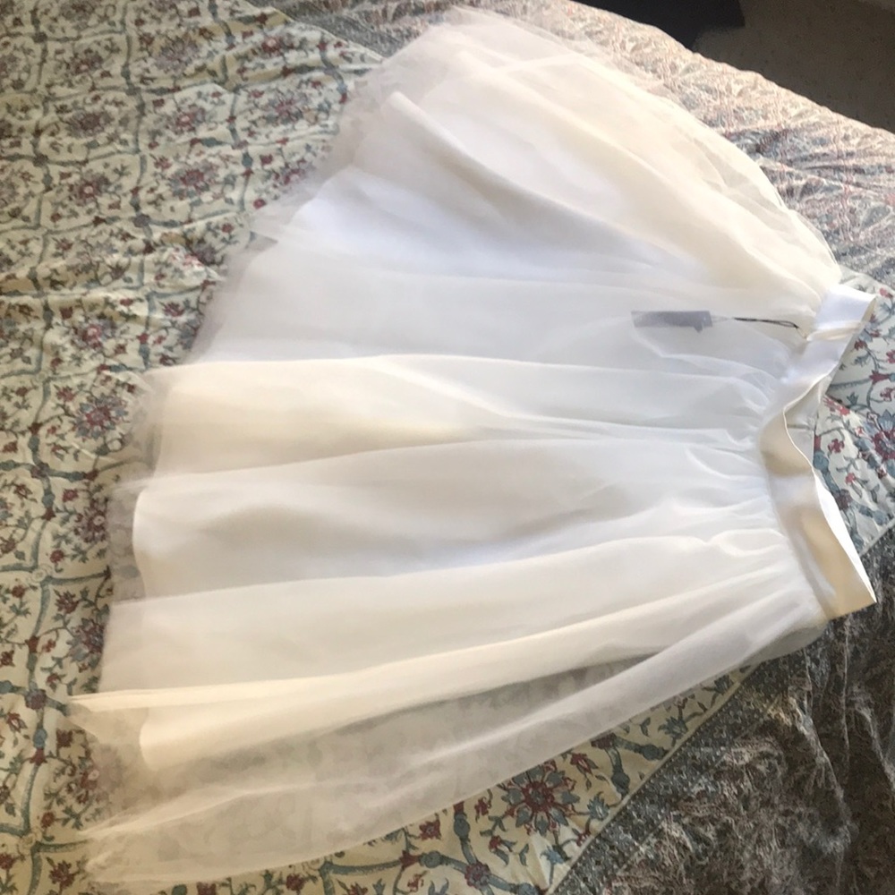 Tulle Skirt